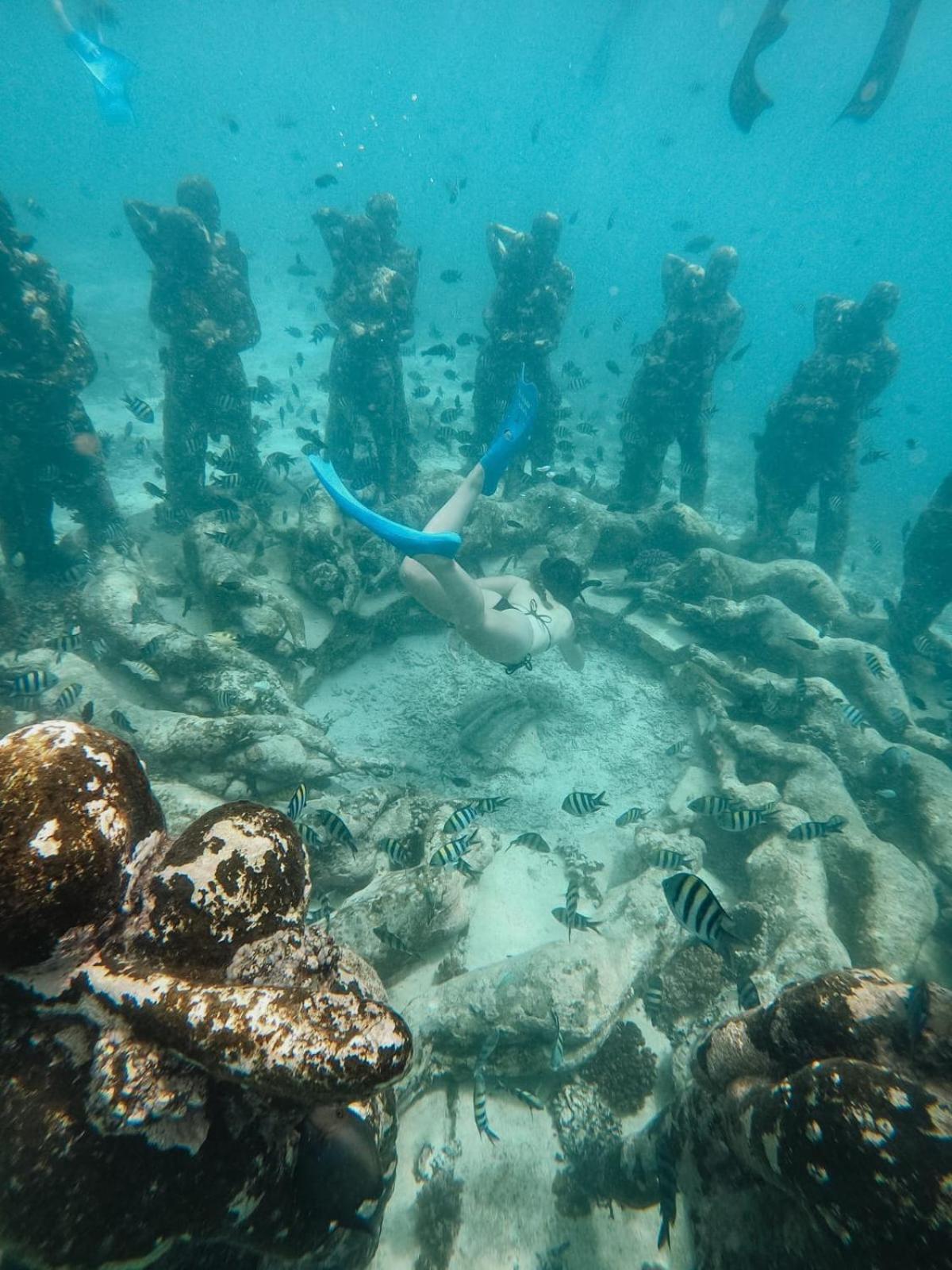 ホテル Tipsea Turtle ギリ・アイル エクステリア 写真